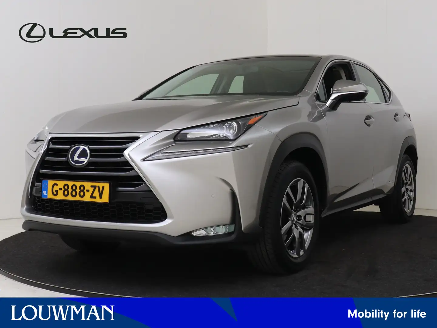 Lexus NX 300h AWD Business Line Pro Limited | Panoramadak | Lede Grau - 1