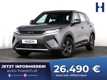 DM-i ACTIVE ACC ASSISTENZ KAMERA SCHNÄPPCHEN