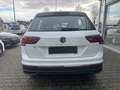 Volkswagen Tiguan Tiguan 2.0TDI DSG LIFE*LED*NAVI*AHK Blanc - thumbnail 6
