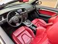 Audi A5 Cabriolet 3.0 TDI|QUATTRO|B&O|AUT|XENON|CAMERA| Zwart - thumbnail 49