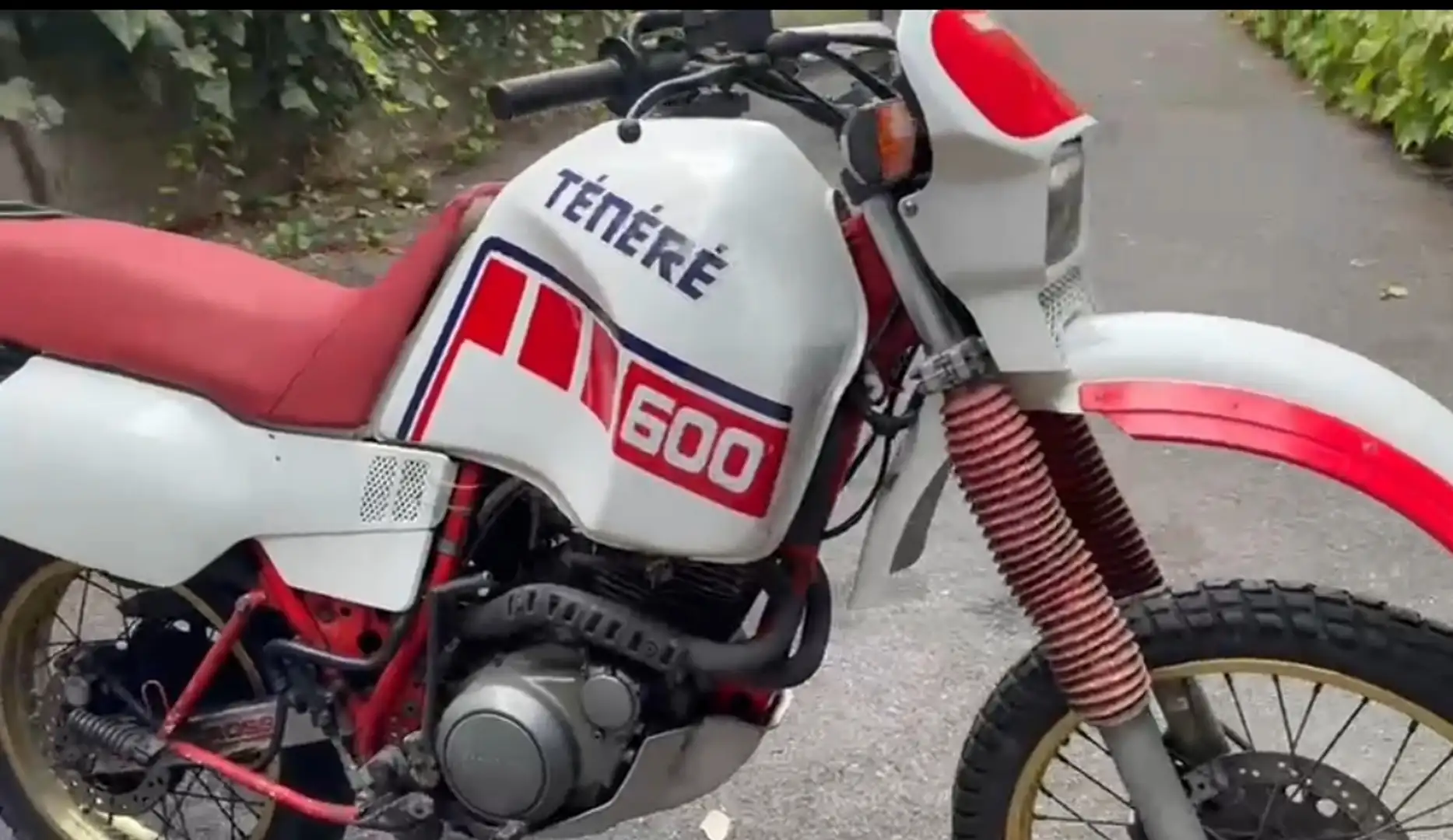 Yamaha XT 600 Ténéré Blanco - 1