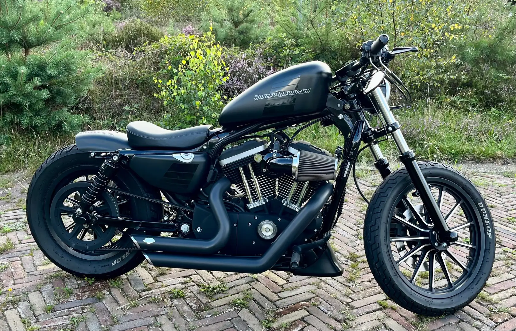 Harley-Davidson Sportster 1200 Iron Schwarz - 1