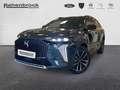 DS Automobiles DS 7 Crossback ÉTOILE BlueHDI 130PS Belüft. Sitze Gri - thumbnail 1