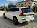 Volvo XC60 XC60 B4 Geartronic R-design Blanco - thumbnail 6