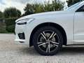 Volvo XC60 XC60 B4 Geartronic R-design Blanco - thumbnail 8