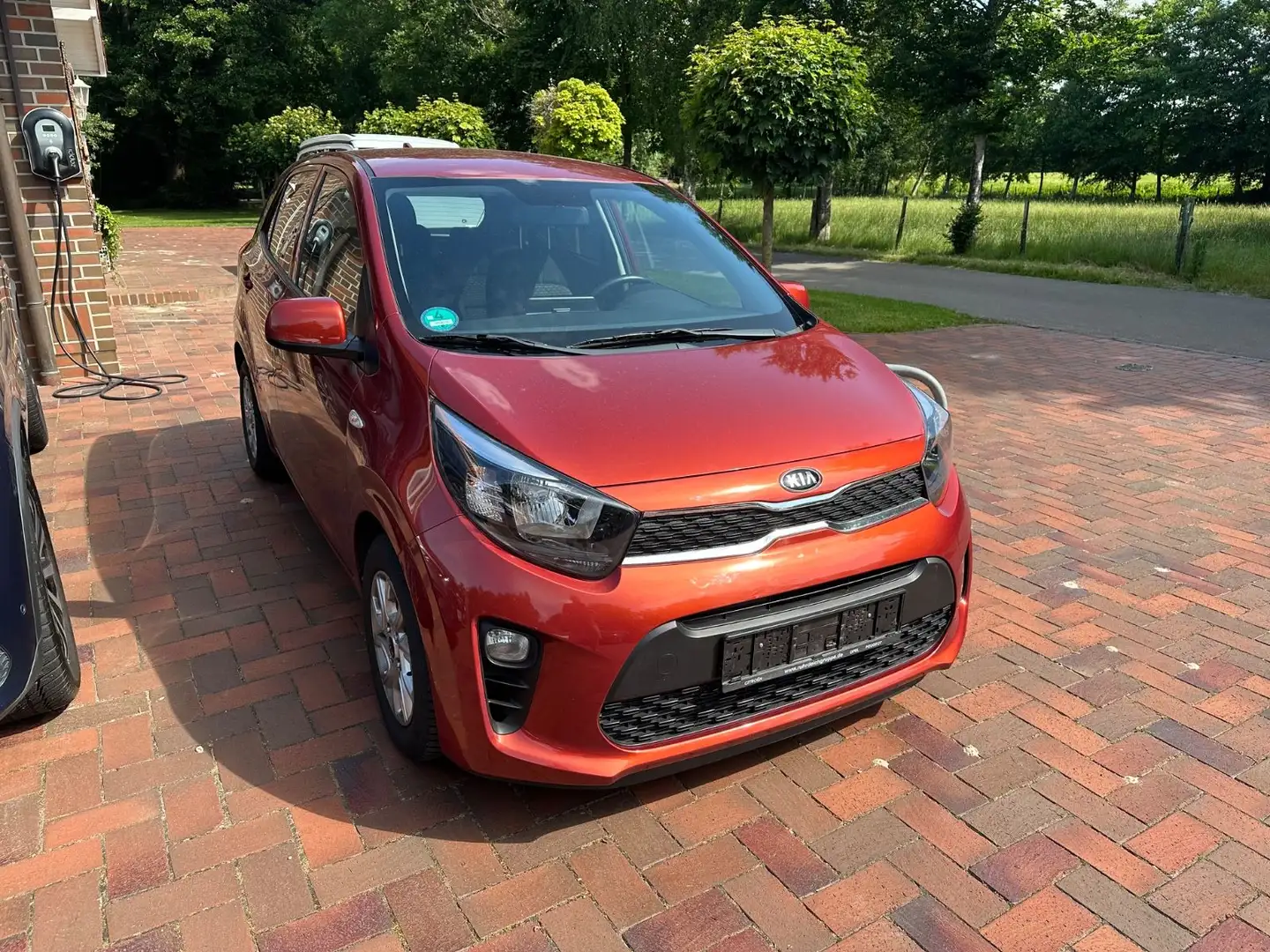 Kia Picanto Dream Team Orange - 2