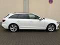 Audi A4 Avant 40 TFSI quattro S line*ACC*MMI Plus Weiß - thumbnail 6