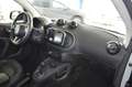 smart forTwo fortwo Cabrio Basis AUTOMATIK / NAVI Silber - thumbnail 8
