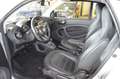 smart forTwo fortwo Cabrio Basis AUTOMATIK / NAVI Silber - thumbnail 9