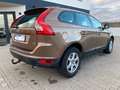 Volvo XC60 XC60 Kinetic AWD Brun - thumbnail 5