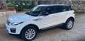 Land Rover Range Rover Evoque 2.0 Tdi SE 150 cv Cambio automatico 9 rapporti Bianco - thumbnail 4