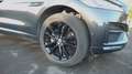 Jaguar F-Pace 2.0 D - R design - FULL options Grijs - thumbnail 7