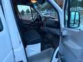 Mercedes-Benz Sprinter 316 CDi lange Pritsche *Klima*Navigatio - thumbnail 17