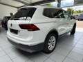 Volkswagen Tiguan Allspace /HIGHL/7SITZ/DSG/PANO/KAME/NAVI/A Weiß - thumbnail 4
