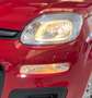 Fiat Panda PANDA III 2024 1.0 FIREFLY HYBRID S Rot - thumbnail 12