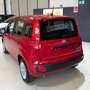 Fiat Panda PANDA III 2024 1.0 FIREFLY HYBRID S Rot - thumbnail 9