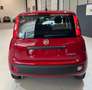 Fiat Panda PANDA III 2024 1.0 FIREFLY HYBRID S Rot - thumbnail 8