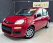 Fiat Panda PANDA III 2024 1.0 FIREFLY HYBRID S Rot - thumbnail 3