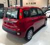 Fiat Panda PANDA III 2024 1.0 FIREFLY HYBRID S Rot - thumbnail 7