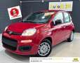 Fiat Panda PANDA III 2024 1.0 FIREFLY HYBRID S Rot - thumbnail 1