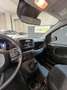 Fiat Panda PANDA III 2024 1.0 FIREFLY HYBRID S Rot - thumbnail 17
