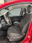 Fiat Panda PANDA III 2024 1.0 FIREFLY HYBRID S Rot - thumbnail 14