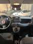 Fiat Panda PANDA III 2024 1.0 FIREFLY HYBRID S Rot - thumbnail 20