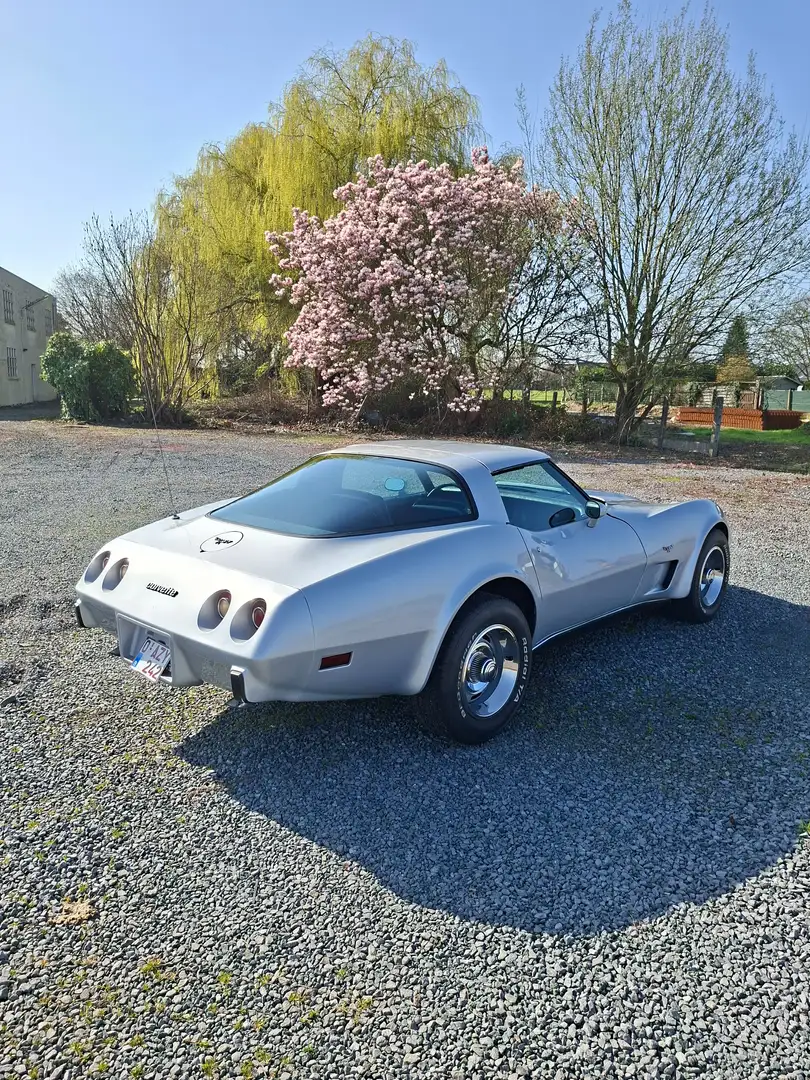 Corvette C3 1979 Silber - 2