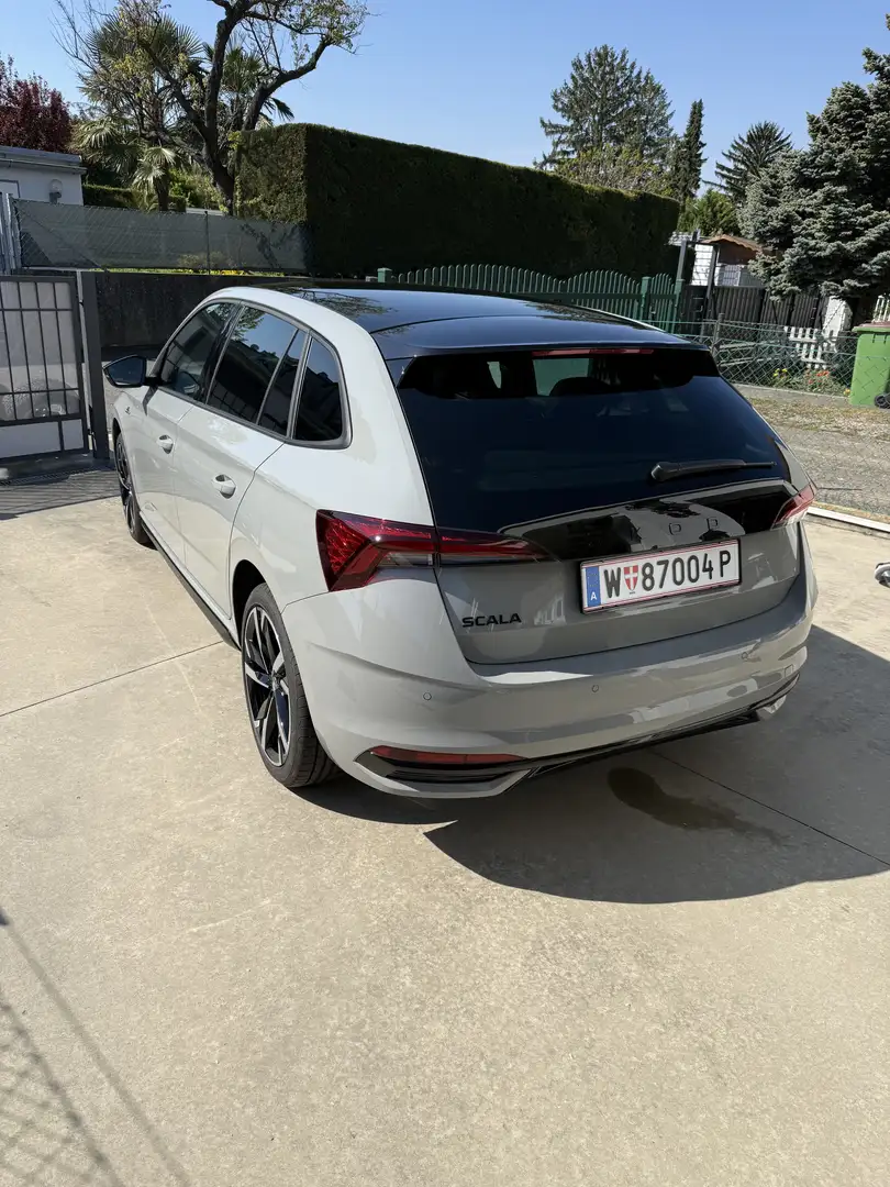 Skoda Scala 1,0 TSI Monte Carlo DSG Grau - 2