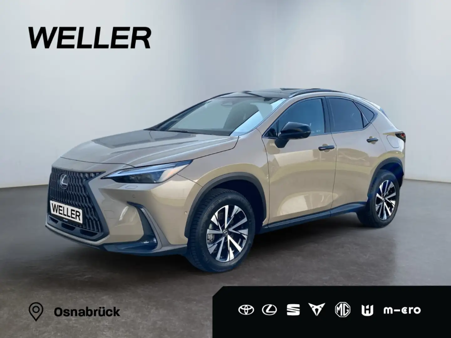 Lexus NX 350h E-Four Overtrail *360°*Panoramaglasdach* Beige - 1