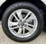 Toyota Yaris 120H 1.5 Style Blanco - thumbnail 10
