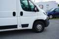 Peugeot Boxer 2.0 HDI Kasten Hochraum 335 L3H2 Premium Weiß - thumbnail 5