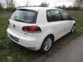 Volkswagen Golf 1.4 TSI DSG Highline Weiß - thumbnail 5