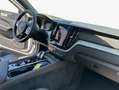 Volvo XC60 XC60 B4 D Plus Dark Weiß - thumbnail 10