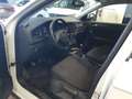 Volkswagen T-Roc 2.0TDI Edition 85kW Blanco - thumbnail 9