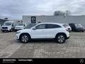 Mercedes-Benz EQA 350 EQA 350 4M Progressive+ Fahr-Assi-Distronic 360° Weiß - thumbnail 2