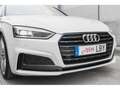 Audi A5 Coupé 40 TDI S line S tronic 140kW Blanco - thumbnail 36