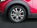 Mazda CX-30 SKYACTIV-G 2.0i 122 ch Rosso - thumbnail 13