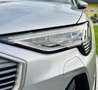 Audi e-tron E-tron 50 quattro 71kWh S-LINE Ext. - Topzustan... Silber - thumbnail 19