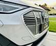 Audi e-tron E-tron 50 quattro 71kWh S-LINE Ext. - Topzustan... Silber - thumbnail 39