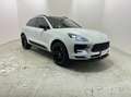 Porsche Macan Macan 2.0 245cv pdk  iva esposta Bianco - thumbnail 3