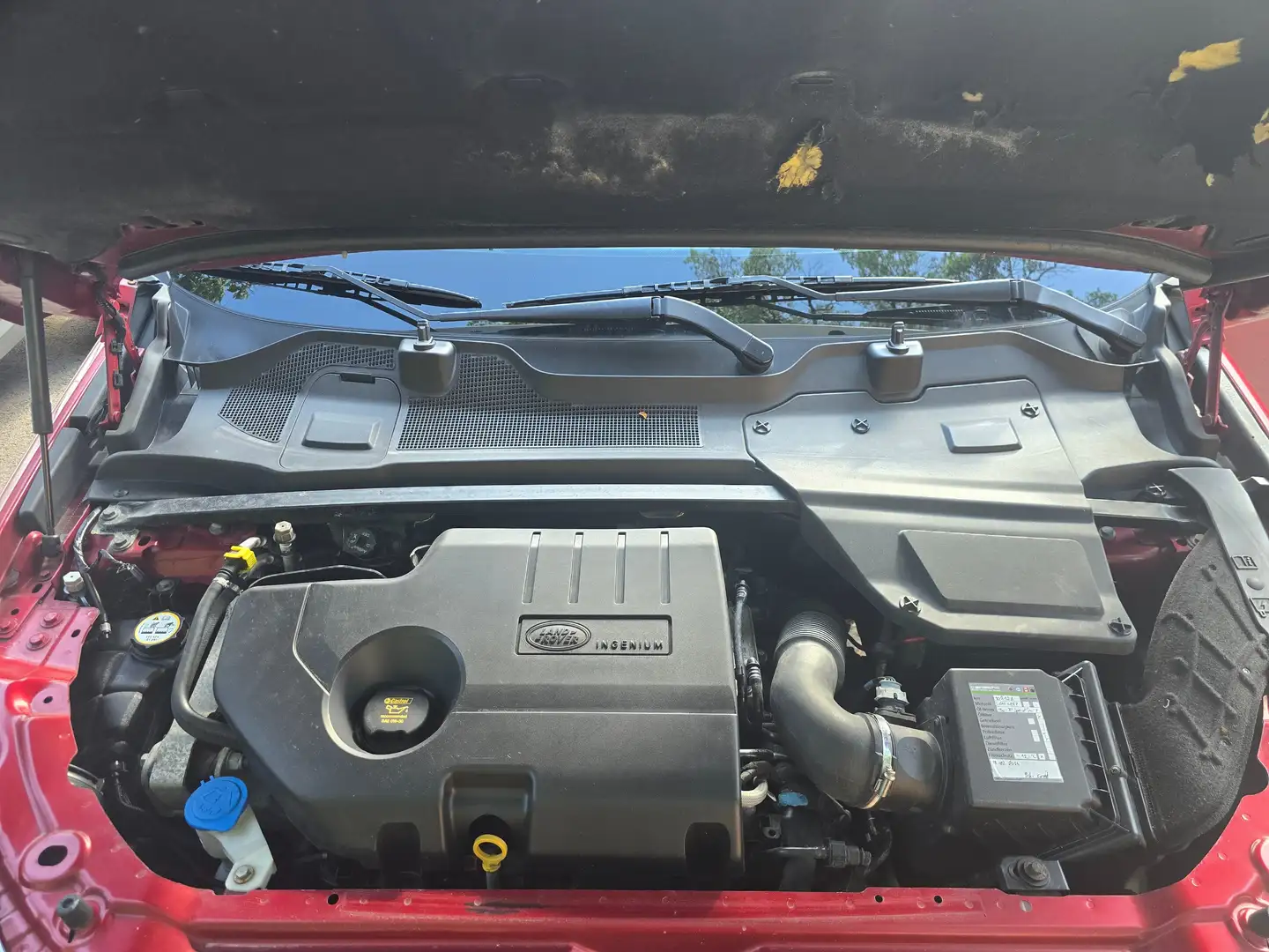 Land Rover Discovery Sport Discovery Sport 2,0 TD4 150 4WD SE SE Rot - 2