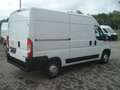 Opel Movano C L2H2 3,5t Edition Klima Temp PDC 37300K Weiß - thumbnail 7