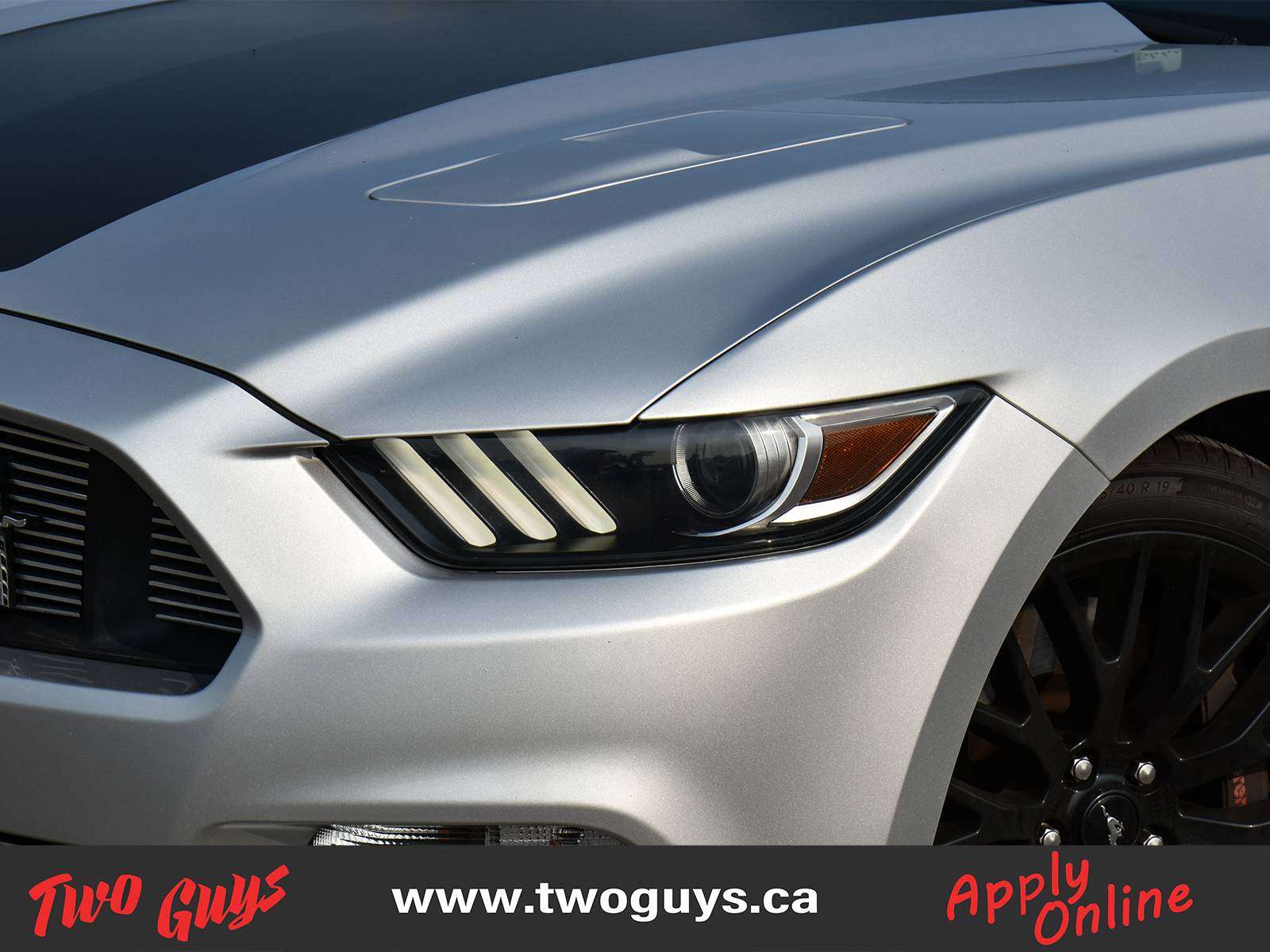 2017 Ford Mustang Fastback GT Leather Back Up Camera photo 3