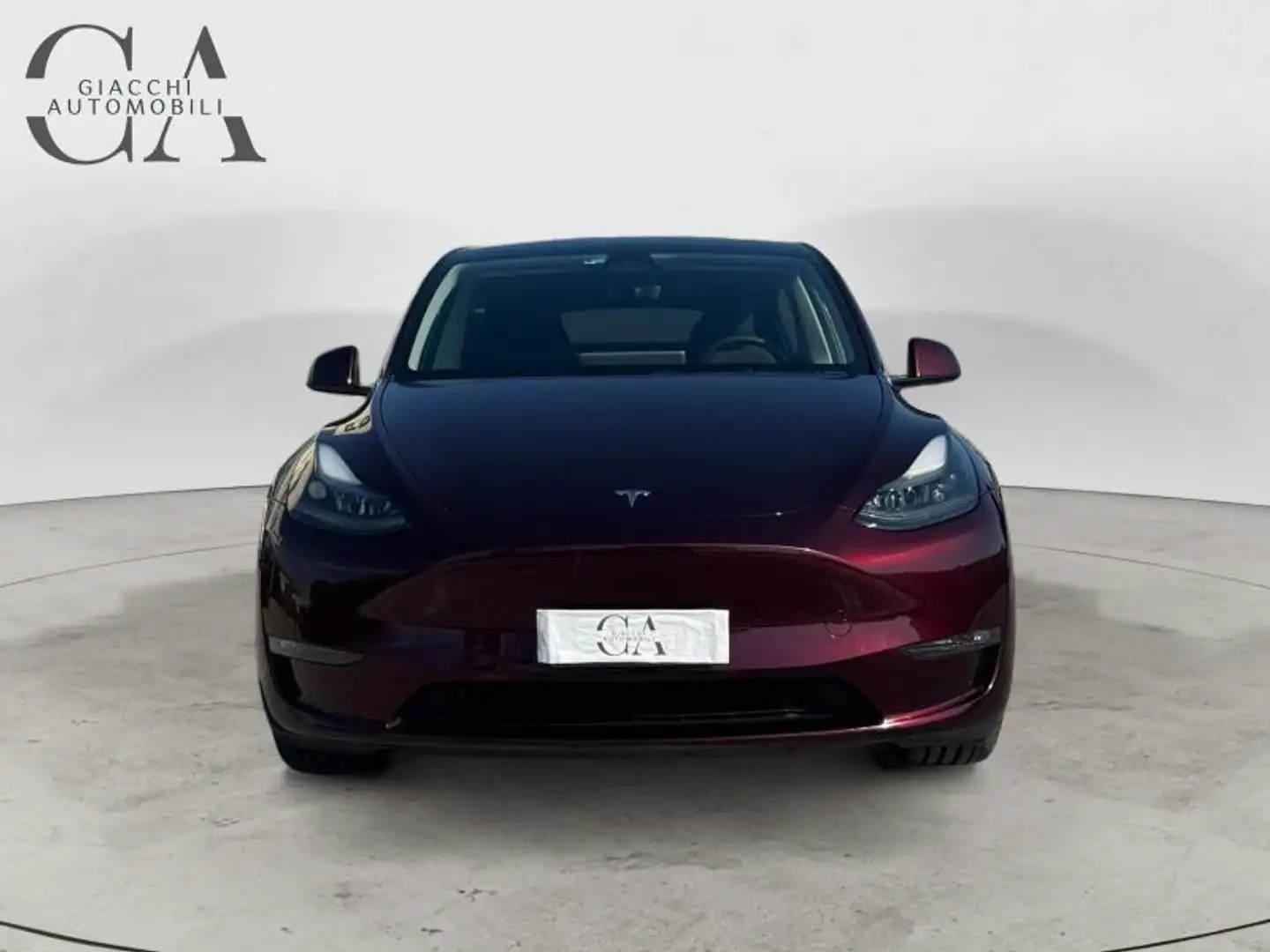 Tesla Model Y Performance Dual Motor awd - 2