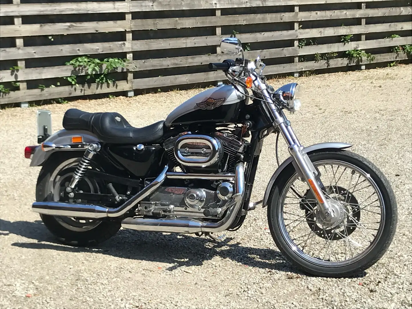 Harley-Davidson Sportster 1200 anniversary edition - 2