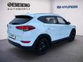 Hyundai TUCSON 1.6 blue Classic 2WD KLIMA NAVI Weiß - thumbnail 3