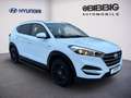 Hyundai TUCSON 1.6 blue Classic 2WD KLIMA NAVI Weiß - thumbnail 2
