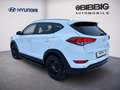 Hyundai TUCSON 1.6 blue Classic 2WD KLIMA NAVI Weiß - thumbnail 4