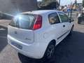 Fiat Punto PRO COMMERCIALE 1.3 MULTIJET 16V 75 PACK CD CLIM - thumbnail 3